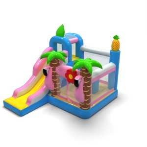 Hawaiianische Hüpfburg Combo