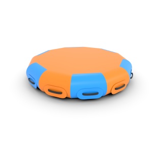 Aufblasbarer Bouncer
